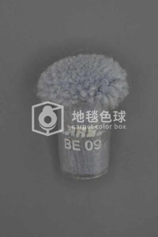 ARS BE09