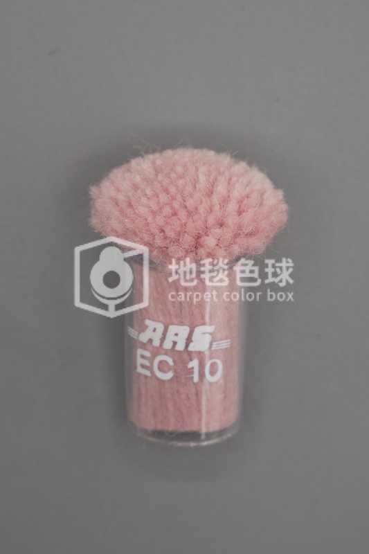 ARS EC10