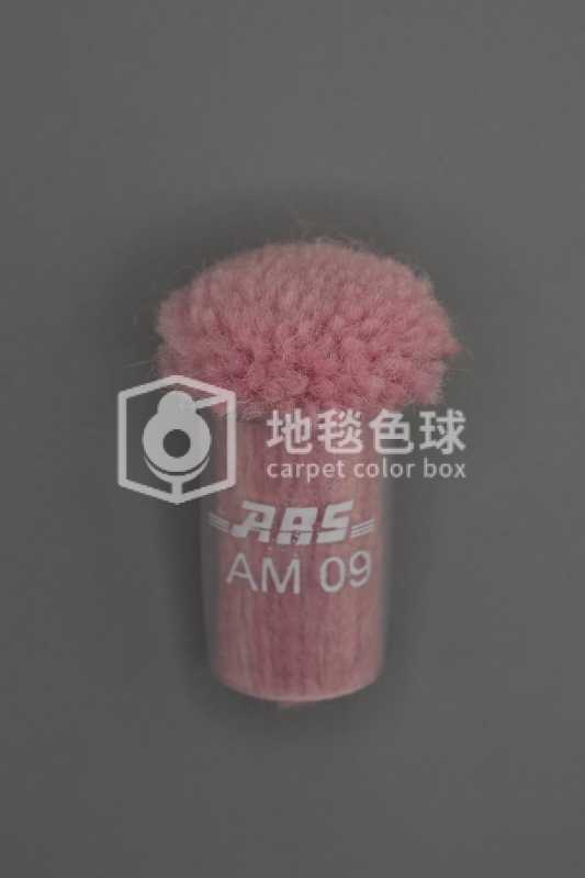 ARS AM09