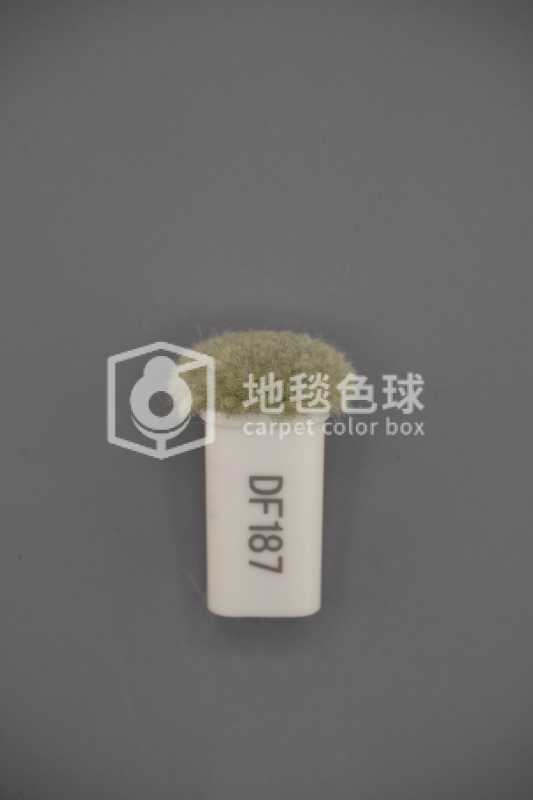 DF187