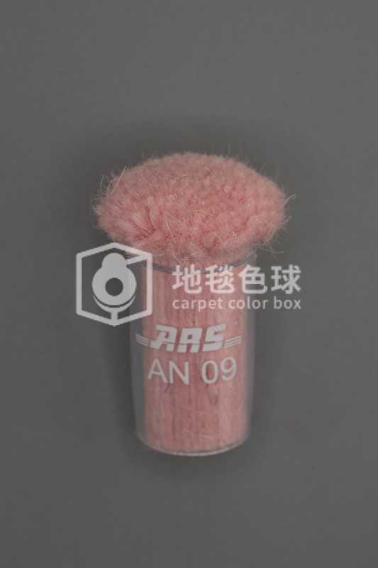 ARS AN09