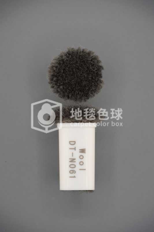 DT N061