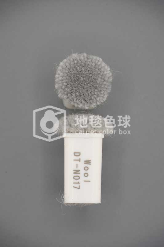 DT N017