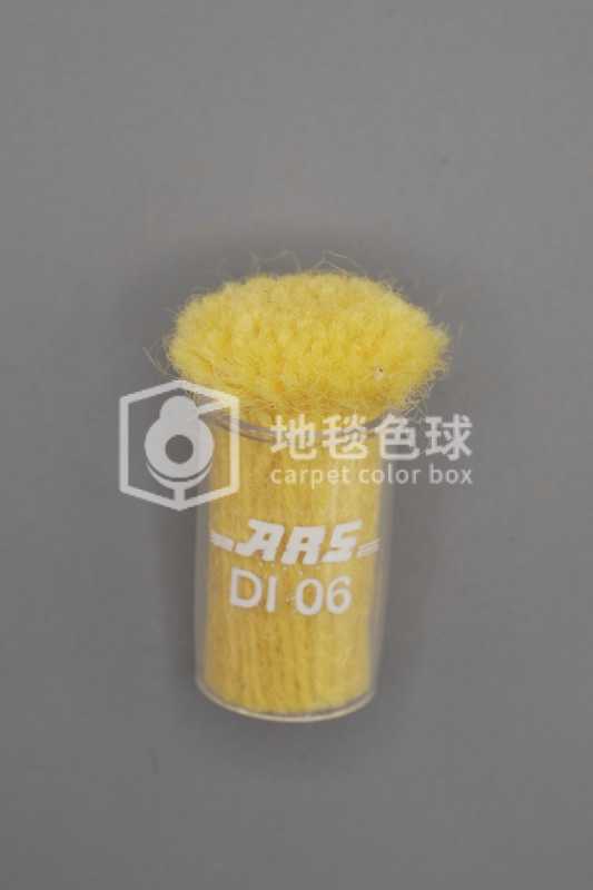 ARS DI06