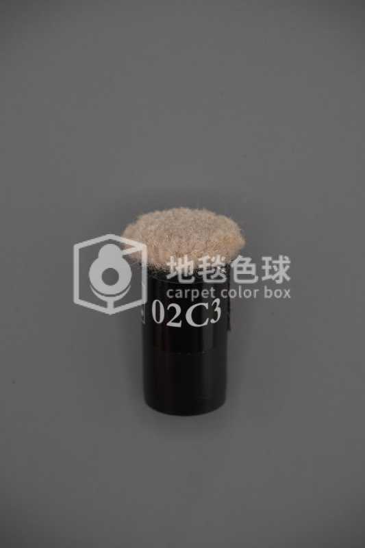 02C3