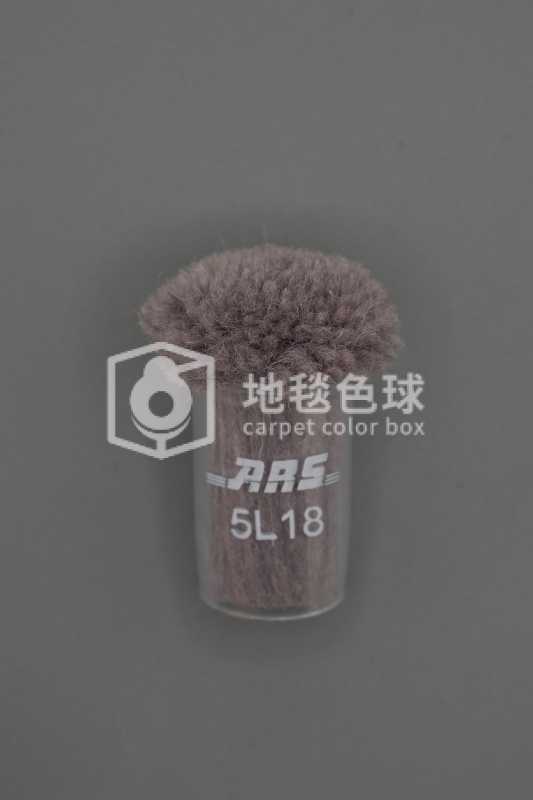 ARS 5L18