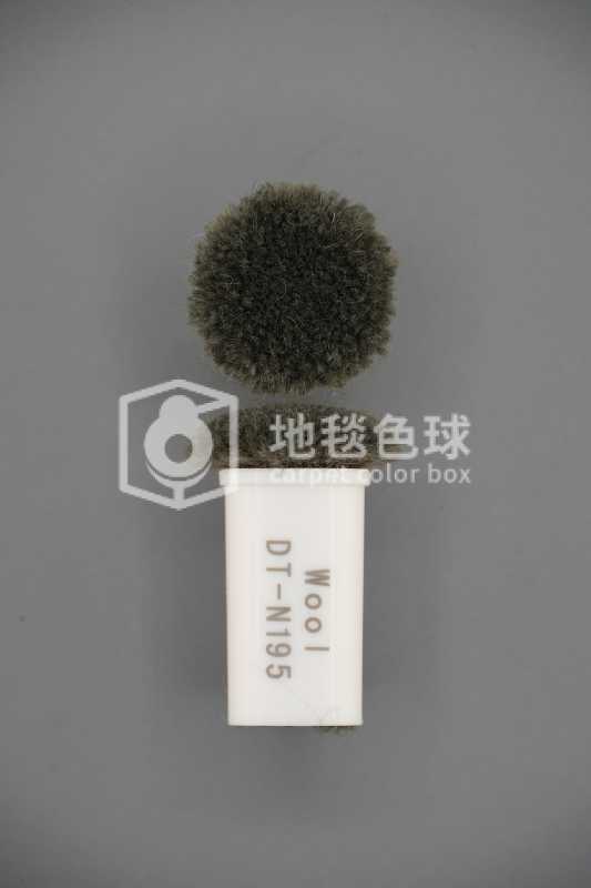 DT N195
