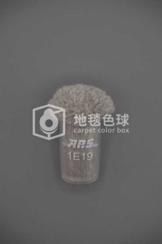 ARS 1E19