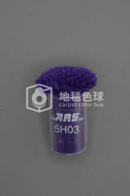 ARS 5H03