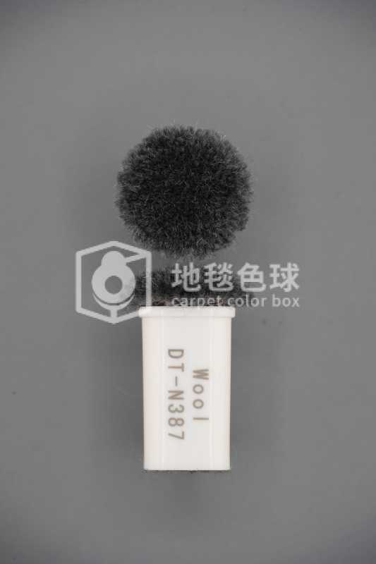 DT N387