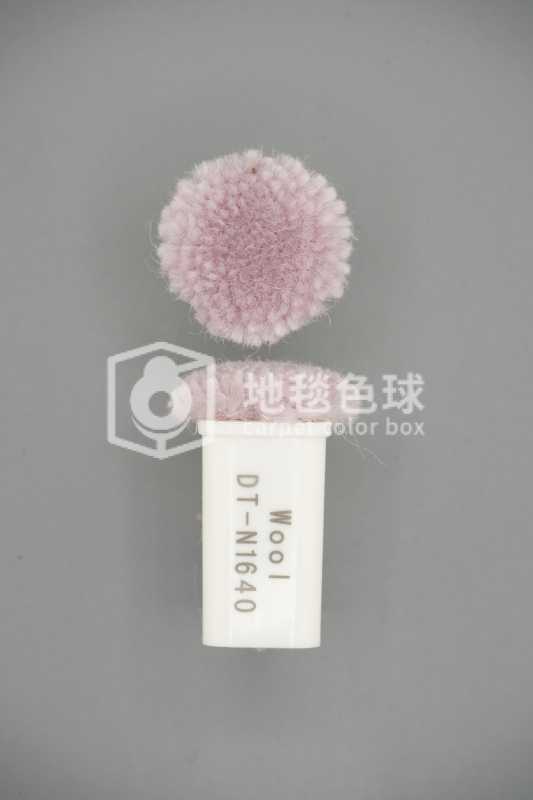 DT N1640