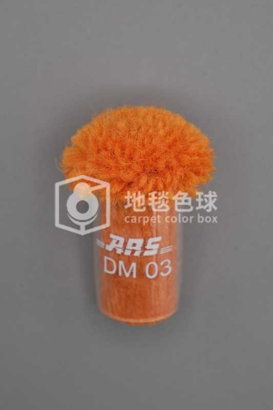 ARS DM03