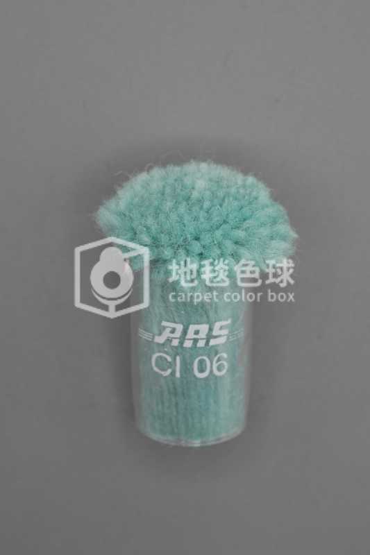 ARS CI06