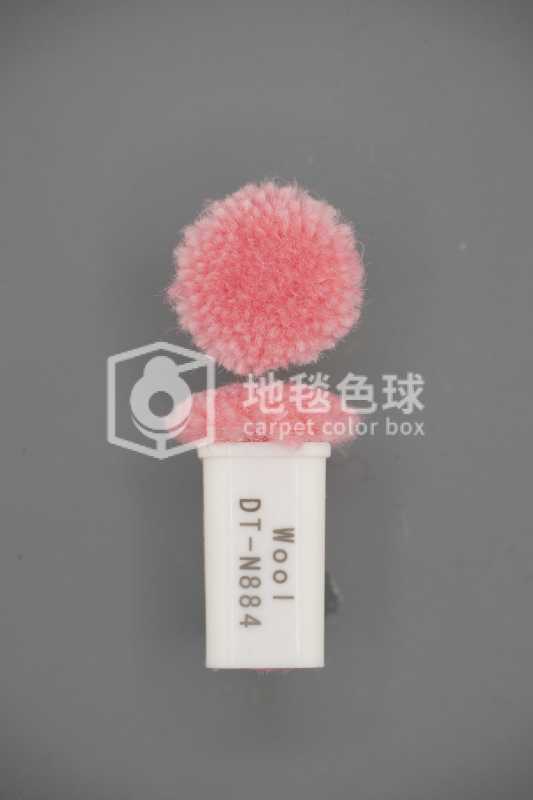 DT N884