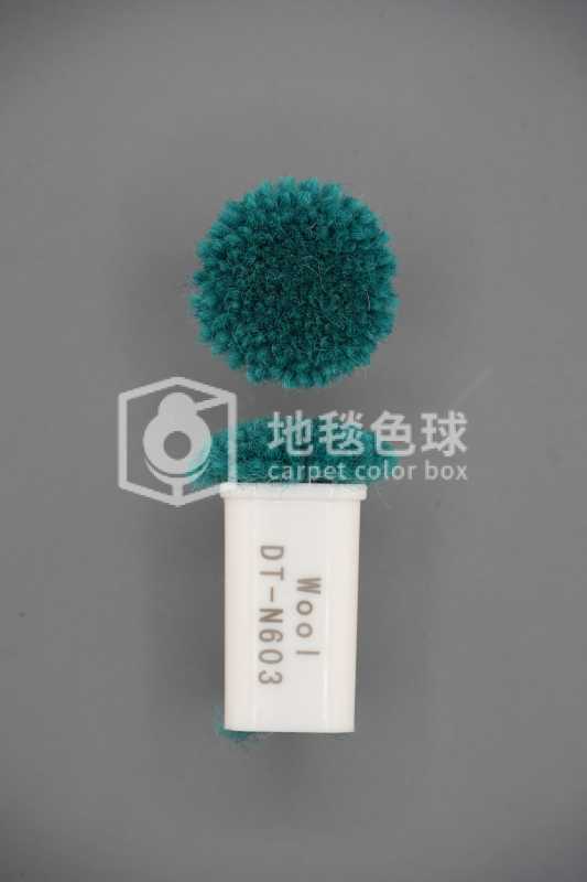 DT N603