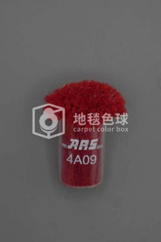 ARS 4A09