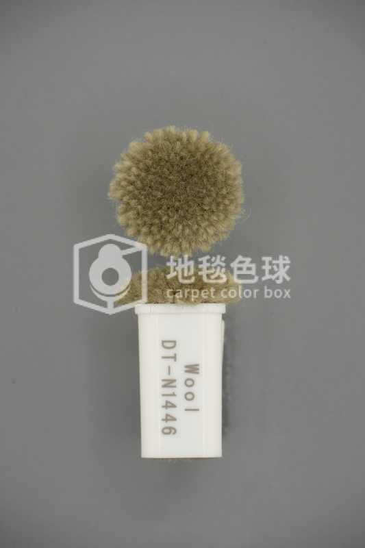 DT N1446