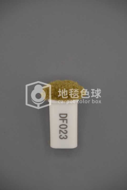 DF023
