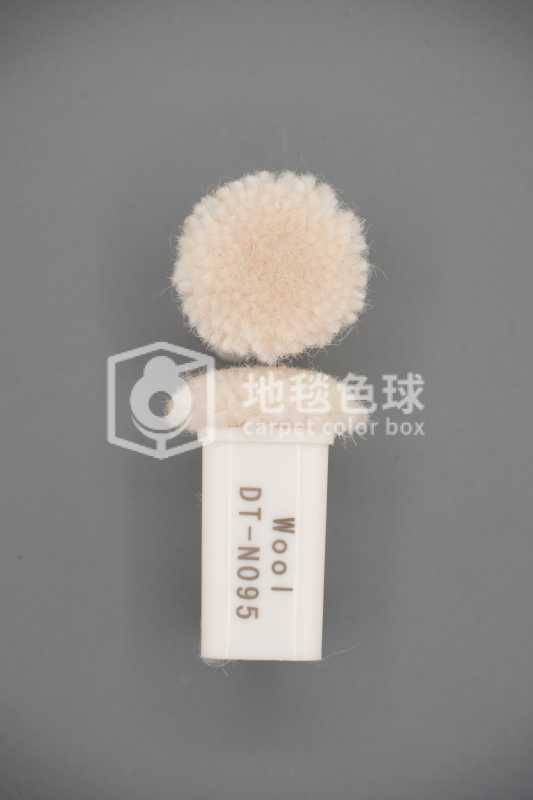 DT N095