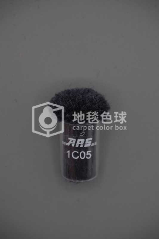 ARS 1C05