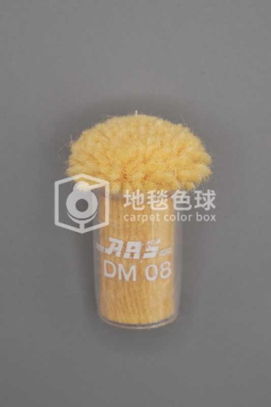 ARS DM08