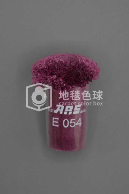 ARS E054