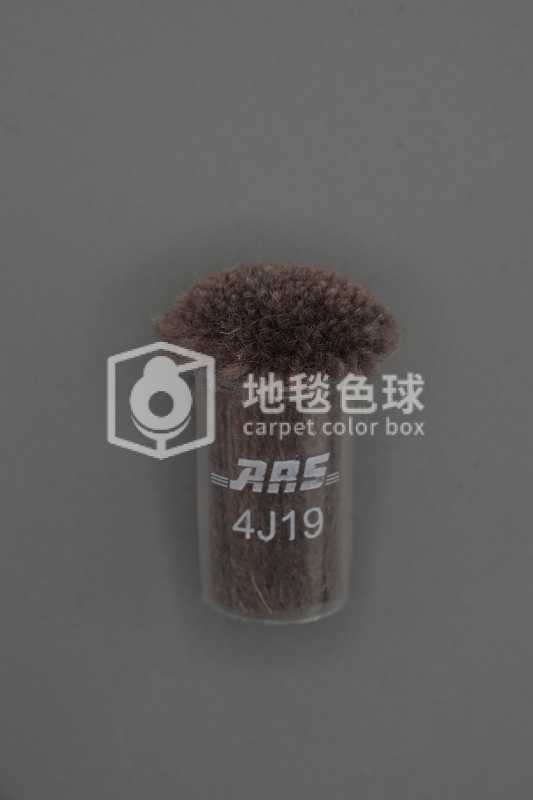 ARS 4J19