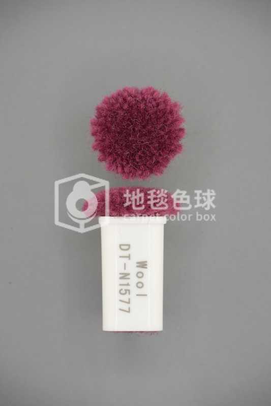 DT N1577