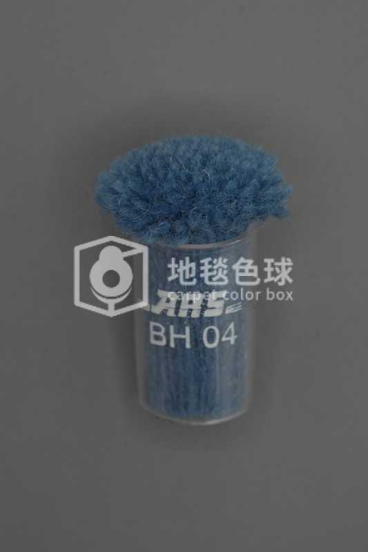 ARS BH04
