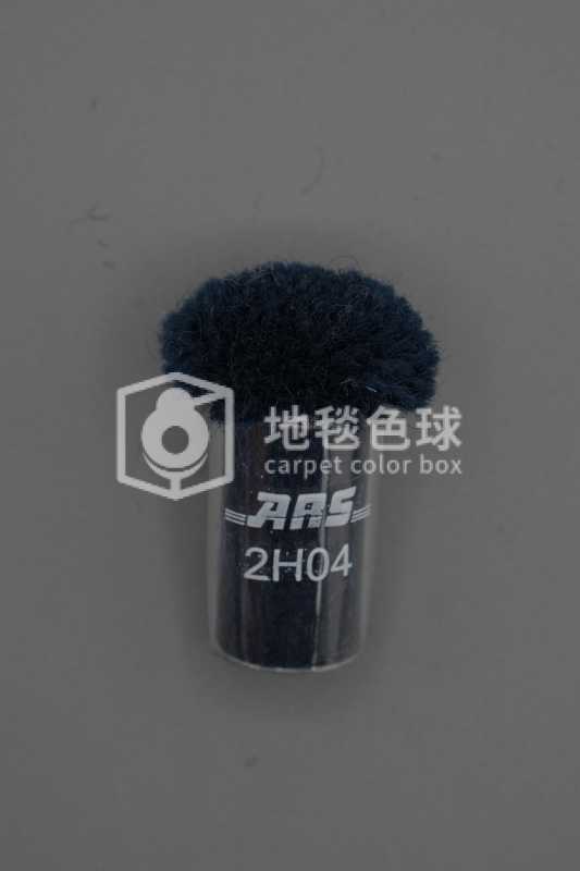 ARS 2H04