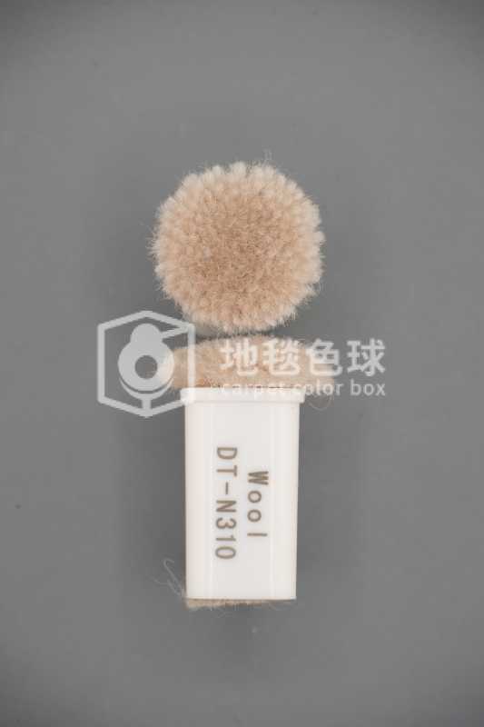 DT N310
