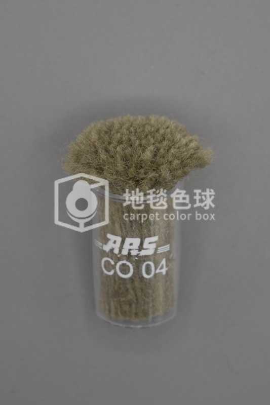 ARS CO04
