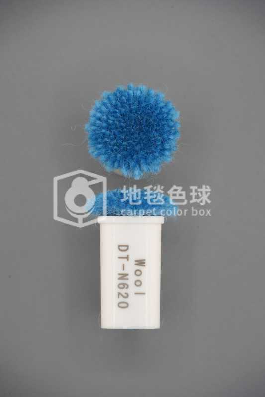 DT N620