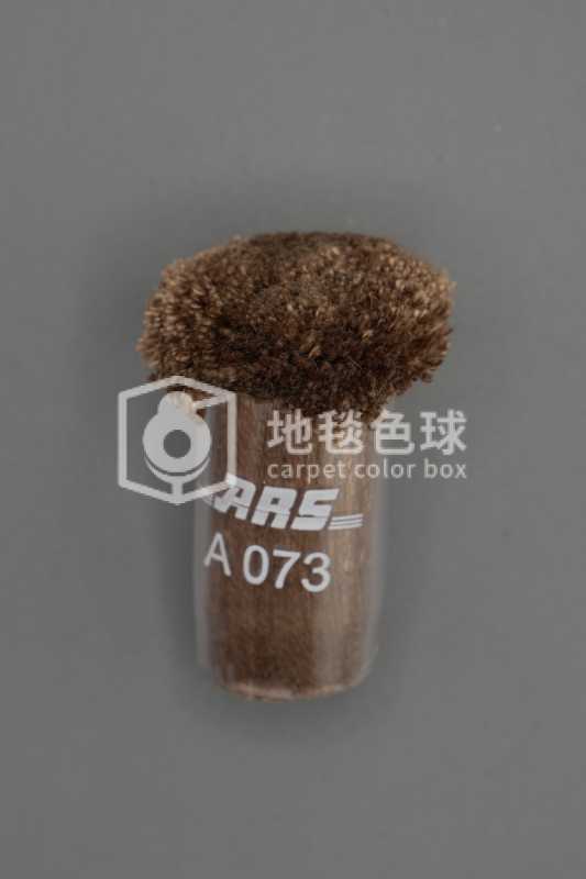 ARS A073