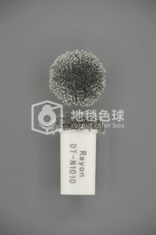 DT N1010