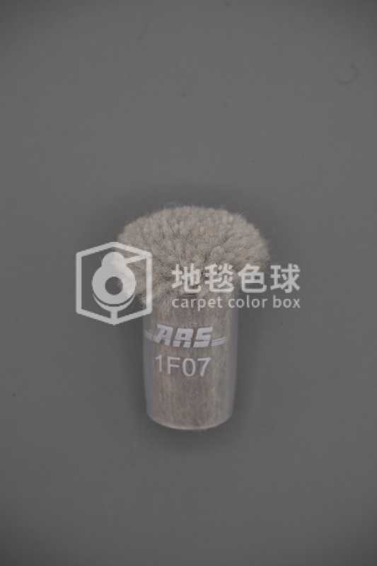 ARS 1F07