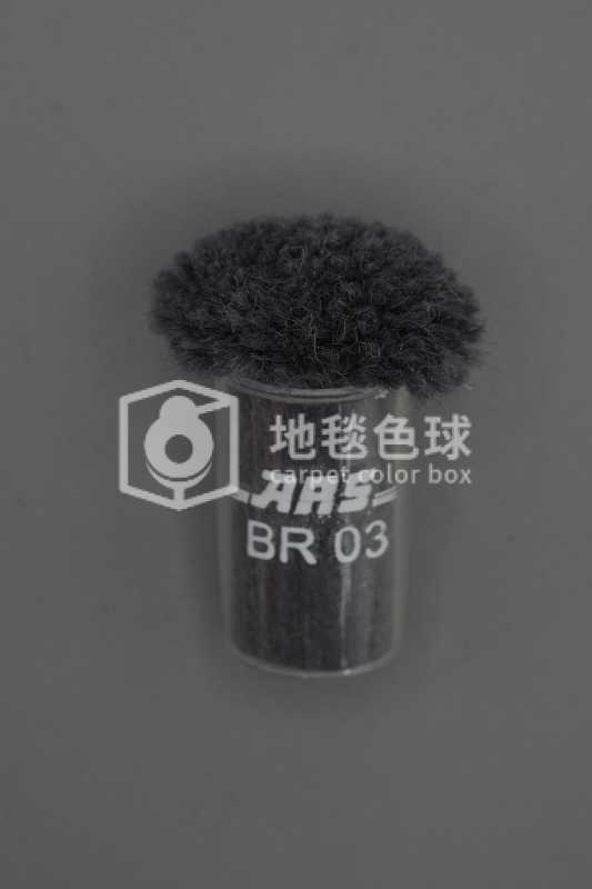ARS BR03