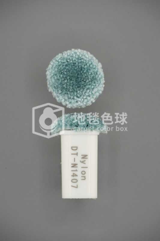 DT N1407
