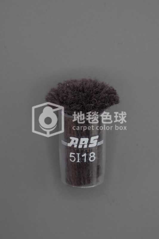 ARS 5I18