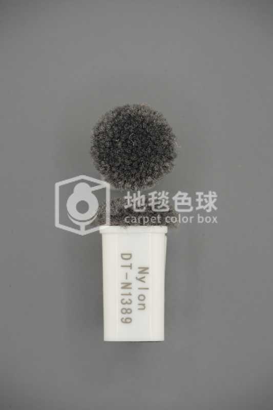 DT N1389