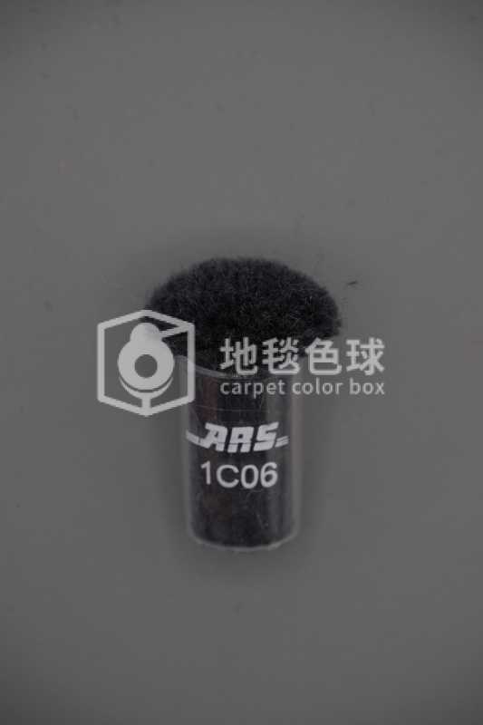ARS 1C06