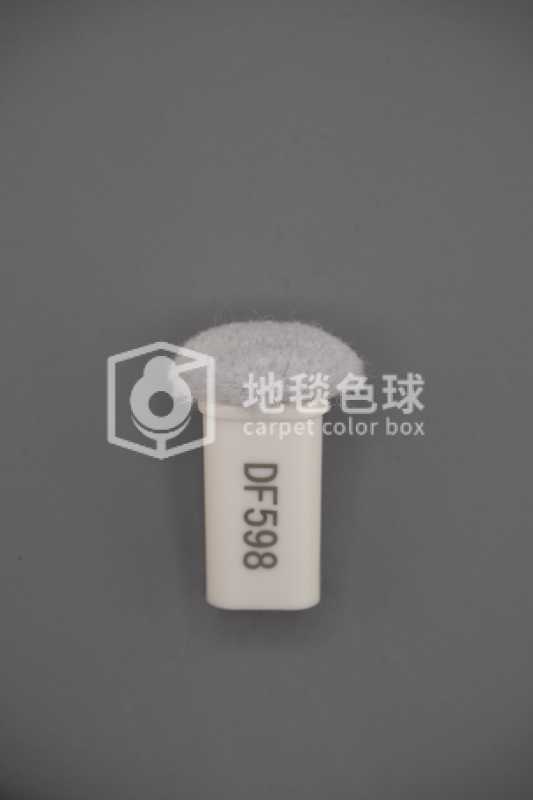 DF598
