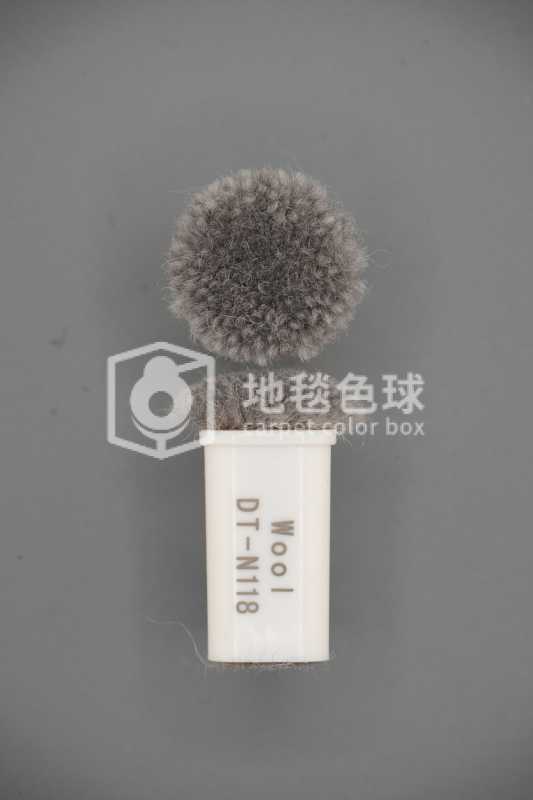 DT N118