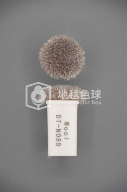DT N089