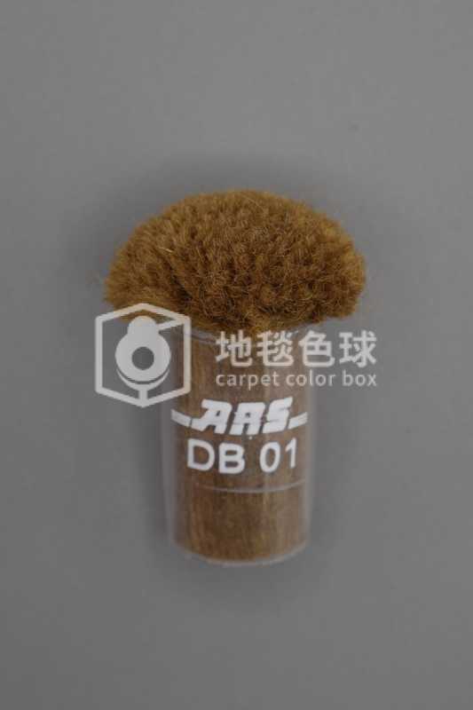 ARS DB01