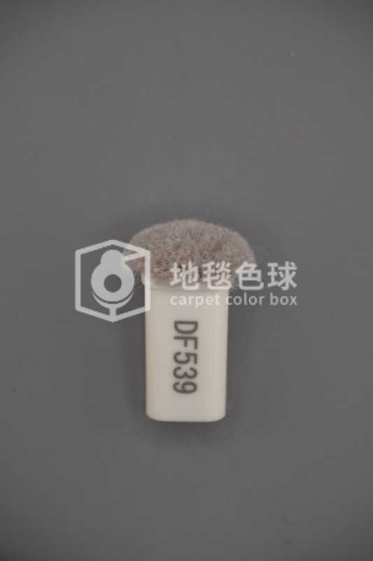 DF539