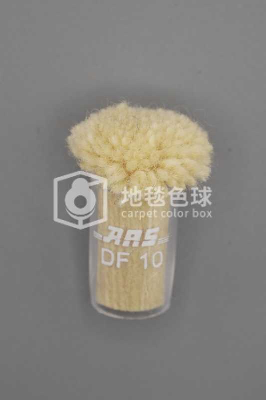 ARS DF10