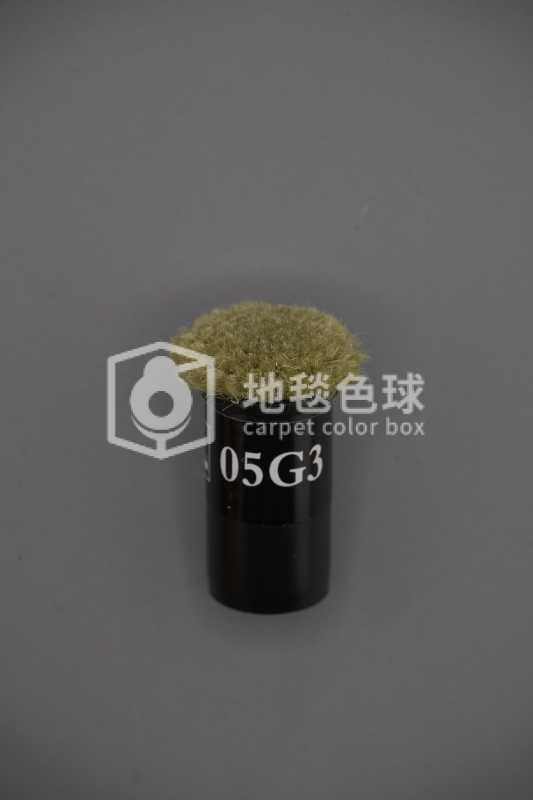 05G3