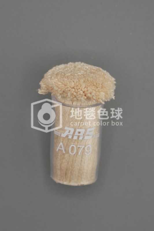 ARS A079