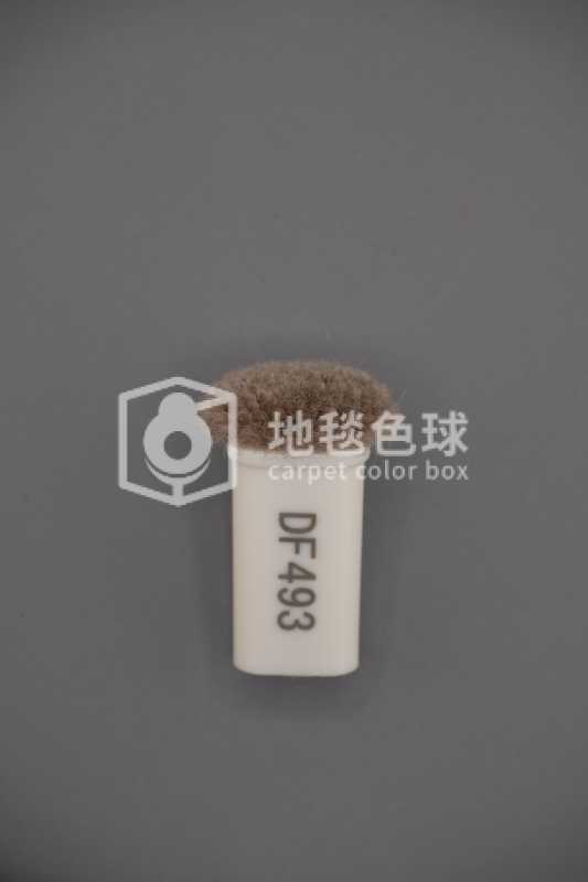 DF493